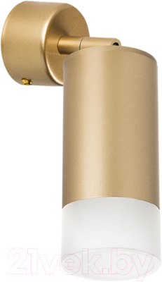 Спот Lightstar Rullo RB4401031 - фото