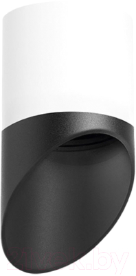 Точечный светильник Lightstar Rullo R348687  - фото