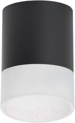 Точечный светильник Lightstar Rullo R348781 - фото