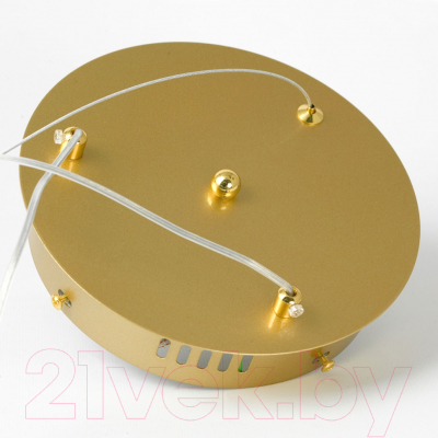 Потолочный светильник Lussole Bradford LSP-7161