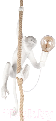 Потолочный светильник Loftit Monkey 10314P - фото