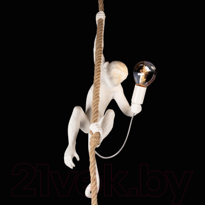 Потолочный светильник Loftit Monkey 10314P