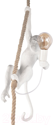 Потолочный светильник Loftit Monkey 10314P