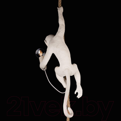 Потолочный светильник Loftit Monkey 10314P