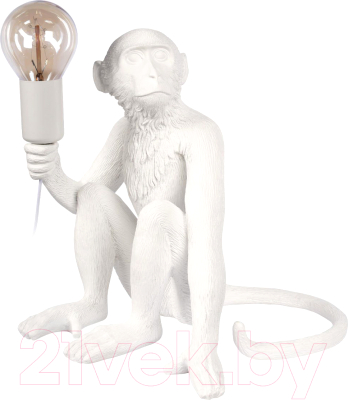 Прикроватная лампа Loftit Monkey 10314T/A - фото