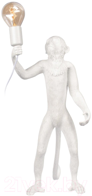 Прикроватная лампа Loftit Monkey 10314T/B - фото