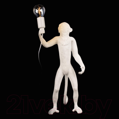 Прикроватная лампа Loftit Monkey 10314T/B