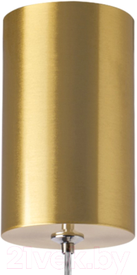 Потолочный светильник Lightstar Tubo 748443