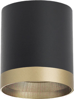 Точечный светильник Lightstar Rullo R348790 - фото