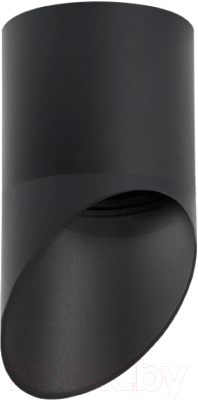 Точечный светильник Lightstar Rullo R348787 - фото