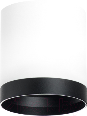 Точечный светильник Lightstar Rullo R34863487 - фото