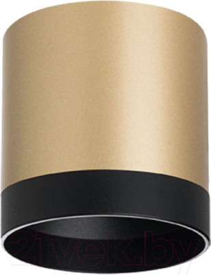 Точечный светильник Lightstar Rullo R34903487 - фото