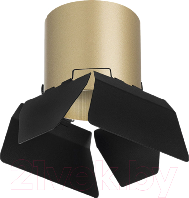 Точечный светильник Lightstar Rullo R3490487 - фото