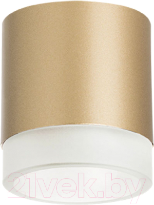 Точечный светильник Lightstar Rullo R349080 - фото