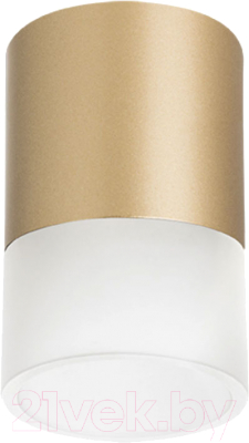 Точечный светильник Lightstar Rullo R349081 - фото