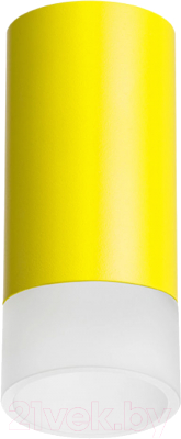 Точечный светильник Lightstar Rullo R43331 - фото