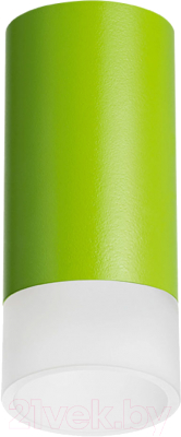 Точечный светильник Lightstar Rullo R43431 - фото