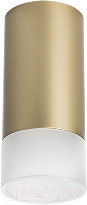 Точечный светильник Lightstar Rullo R44031 - фото