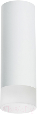 Точечный светильник Lightstar Rullo R48631 - фото