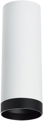 Точечный светильник Lightstar Rullo R4863437 - фото