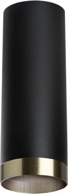 Точечный светильник Lightstar Rullo R487431 - фото