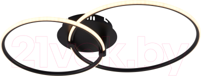 Потолочный светильник Rivoli Nicoleta 6144-101 / Б0062234 - фото