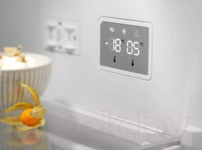 Холодильник с морозильником Electrolux LNT7ME36G2