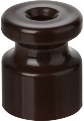 Декоративный изолятор TDM SQ2804-0002 - фото