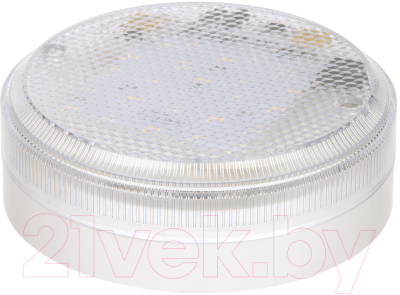 Светильник ЖКХ TDM SQ0329-1055 - фото