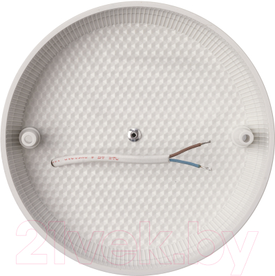 Светильник ЖКХ TDM SQ0329-1055