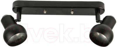 Спот Fametto DLC-S621 GU10x2 / UL-00009798