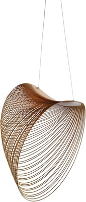 Потолочный светильник Divinare Carved 1139/27 SP-16 - фото