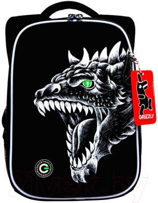 Школьный рюкзак Grizzly RAw-497-3