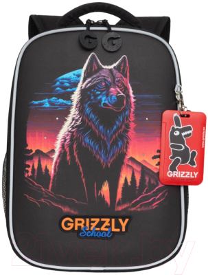 Школьный рюкзак Grizzly RAw-497-5