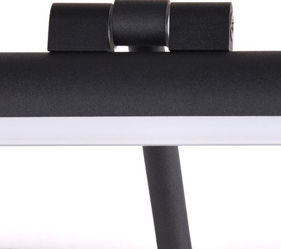 Подсветка для картин и зеркал Arte Lamp Harrison A1709AP-1BK