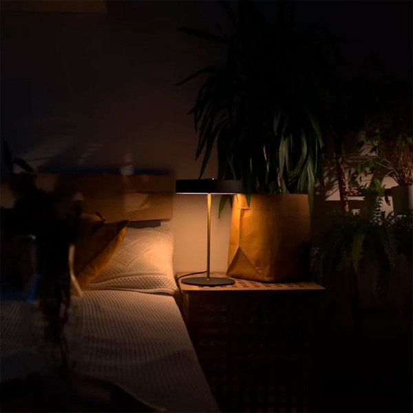 Прикроватная лампа Arte Lamp Elnath A5038LT-3BK