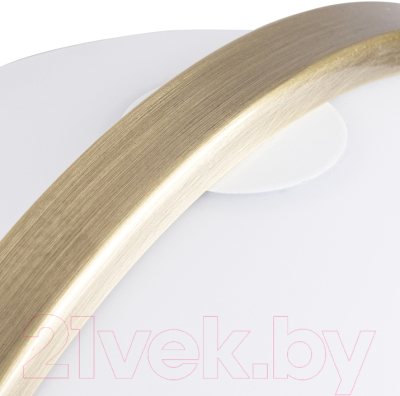 Прикроватная лампа Arte Lamp Brava A5056LT-1AB