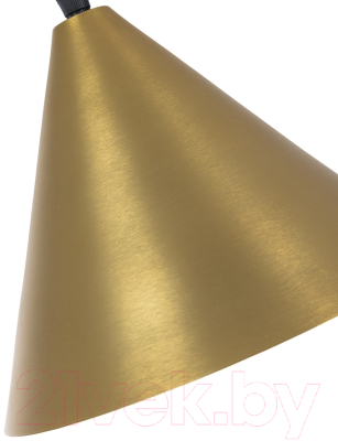 Потолочный светильник Arte Lamp David A7033SP-1BK