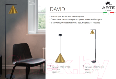 Потолочный светильник Arte Lamp David A7033SP-1BK