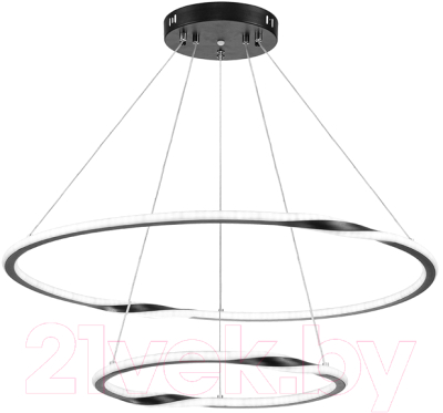 Потолочный светильник Arte Lamp Veritate A2211SP-2BK - фото