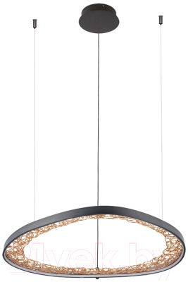 Потолочный светильник Arte Lamp Cinta A1847SP-46BK - фото