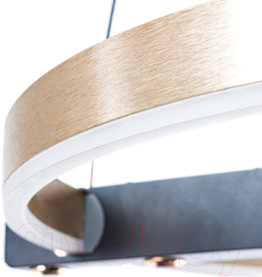 Потолочный светильник Arte Lamp Veritate A2221SP-1BR