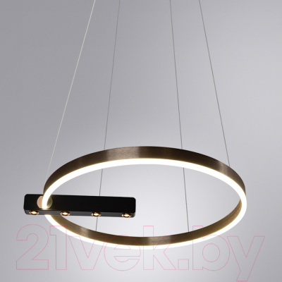 Потолочный светильник Arte Lamp Veritate A2221SP-1BR