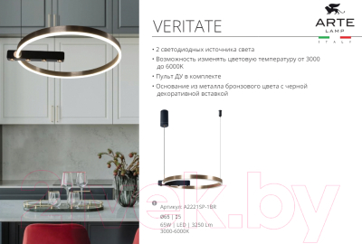 Потолочный светильник Arte Lamp Veritate A2221SP-1BR