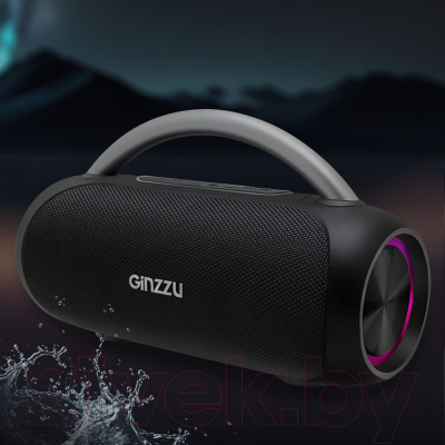 Портативная колонка Ginzzu GM-909B