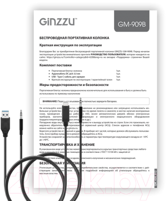 Портативная колонка Ginzzu GM-909B