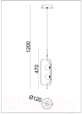 Потолочный светильник Arte Lamp Geneva A2341SP-2BK