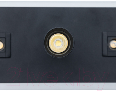 Спот Arte Lamp Pisces A2220PL-3BK