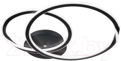 Потолочный светильник Arte Lamp Sierra A2211PL-2BK - фото