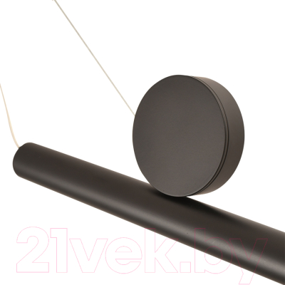 Потолочный светильник Arte Lamp Beemim A2090SP-1BK